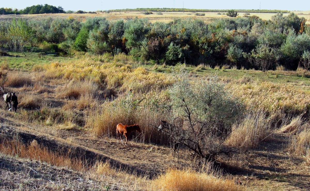 ����� ��������. �� �������, ����� �������� ?...) ����� Natali  ��������� �� PhotoGeek.ru #�������� ��� #������ ��� ������� #����� �������������� #����� ��������