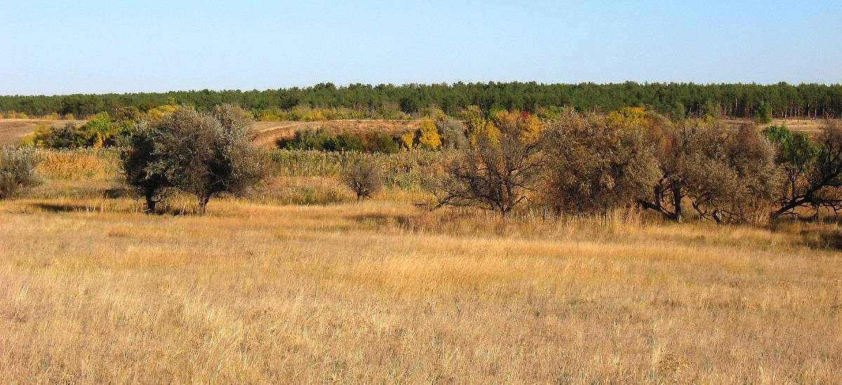 �������� �� ����� ����� Natali  ��������� �� PhotoGeek.ru #������ ��� �������