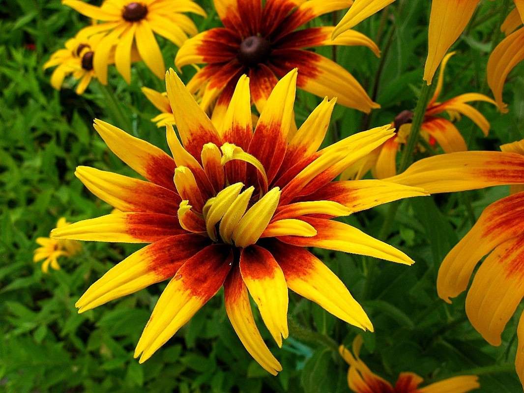 �� ������� ����� Natali  ��������� �� PhotoGeek.ru #������ ��� ������� #����� ��������������