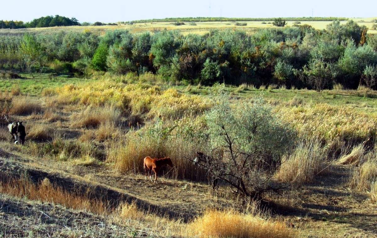 ����� �������� ...2 ����� Natali  ��������� �� PhotoGeek.ru #�������� ��� #������ ��� �������