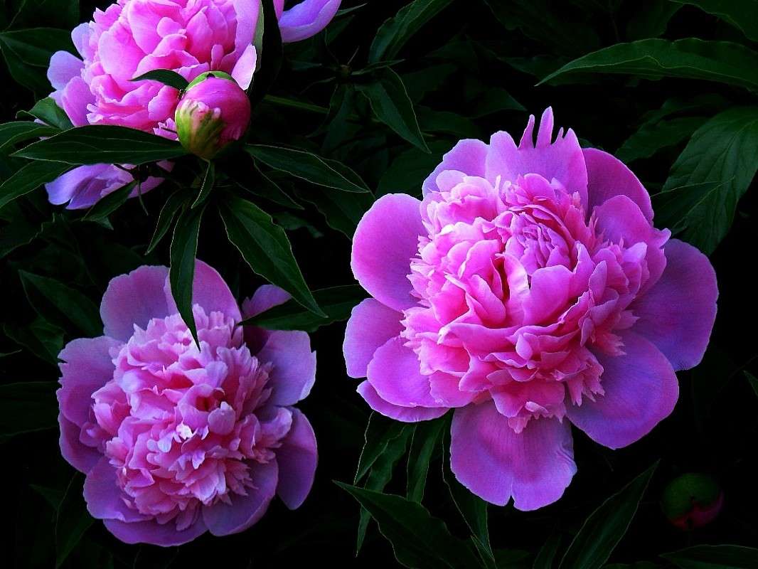 �� ��������... ����� Natali  ��������� �� PhotoGeek.ru #����� ��������������