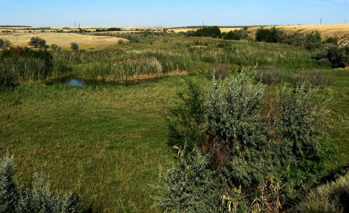 ������ �������� ����� Natali  ��������� �� PhotoGeek.ru #������ ��� ������� #����� ��������������