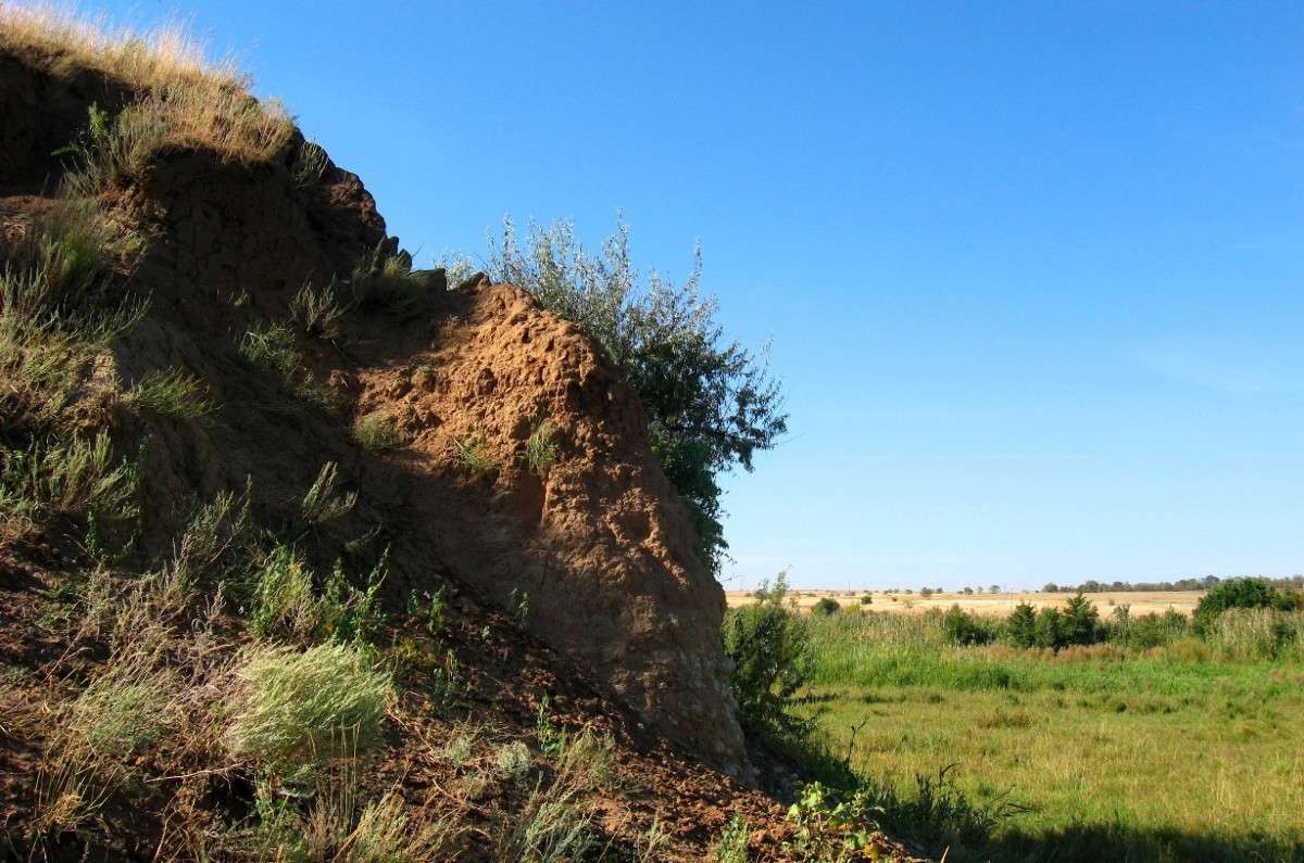 ������ ��������...2 ����� Natali  ��������� �� PhotoGeek.ru #������ ��� ������� #����� ��������������