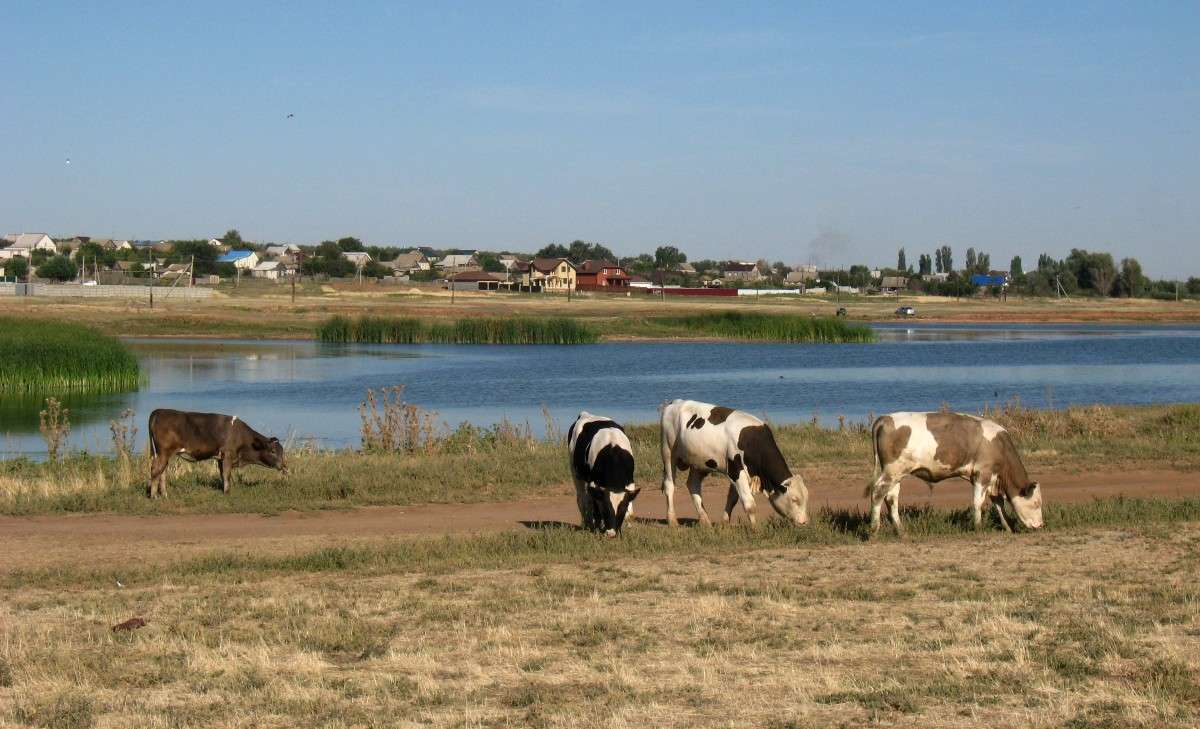 ���������� ���..... ����� Natali  ��������� �� PhotoGeek.ru #�������� ��� #������ ��� �������