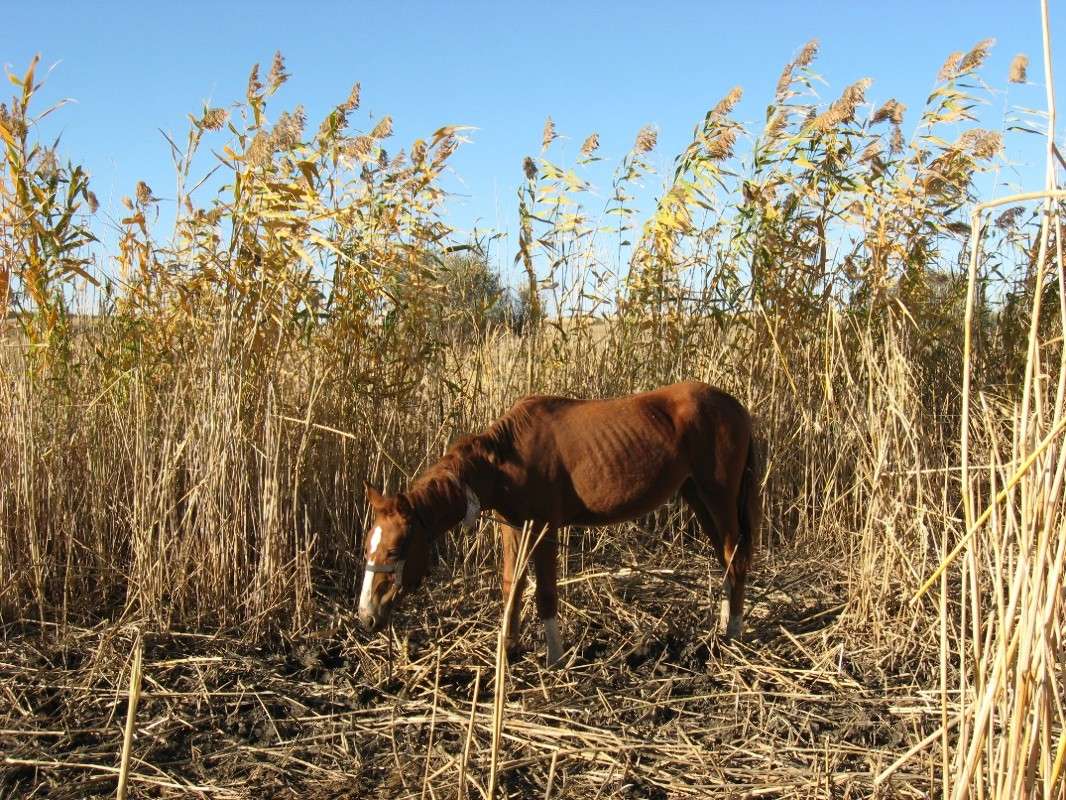 � ������ �������.... ����� Natali  ��������� �� PhotoGeek.ru #�������� ���