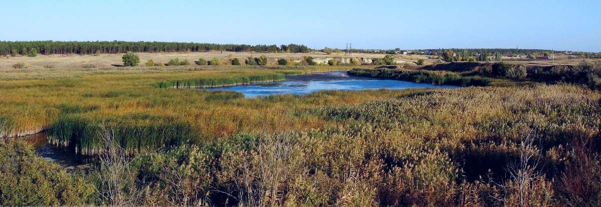 ... ����� Natali  ��������� �� PhotoGeek.ru #������ ��� �������