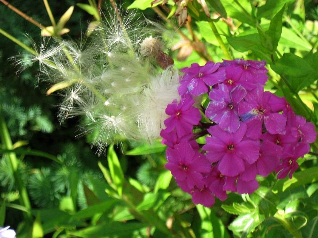 �� ������... ����� Natali  ��������� �� PhotoGeek.ru #������ ��� ������� #����� ��������������