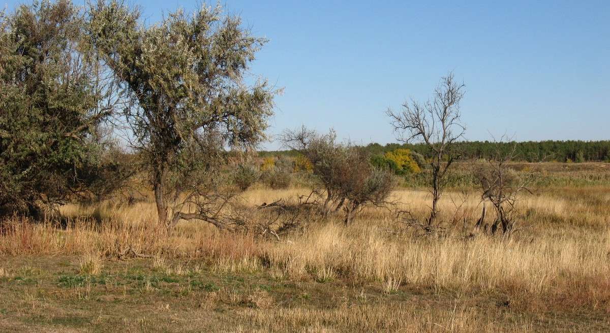 ��� �������� ����� Natali  ��������� �� PhotoGeek.ru #������ ��� ������� #����� ��������������