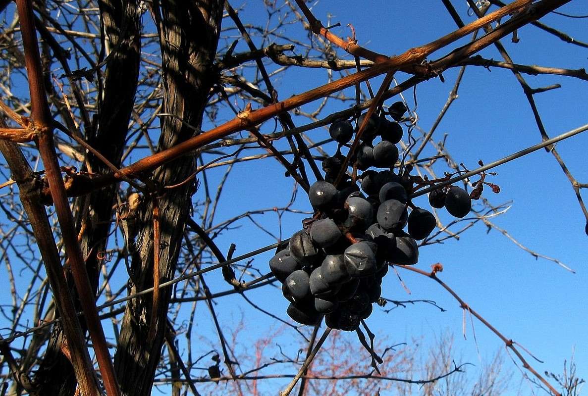 ���������, �������... ����� Natali  ��������� �� PhotoGeek.ru #����� ��������������