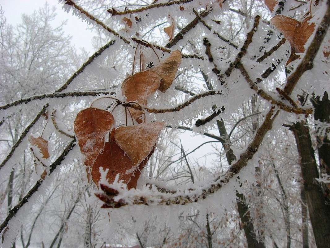 ��� ����� ���� ����� �� ��� �����... ����� Natali  ��������� �� PhotoGeek.ru #������ ��� ������� #����� ��������������