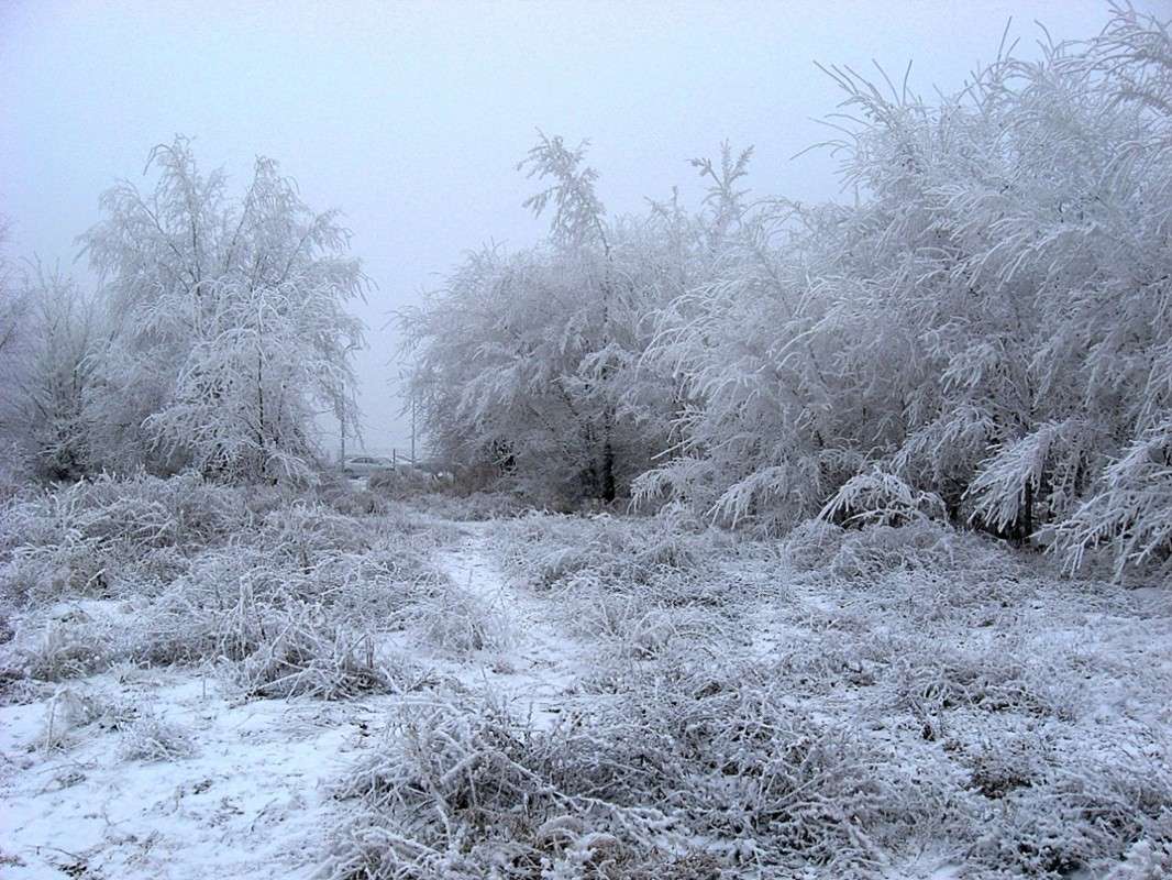 ����.��������...)) ����� Natali  ��������� �� PhotoGeek.ru #������ ��� �������