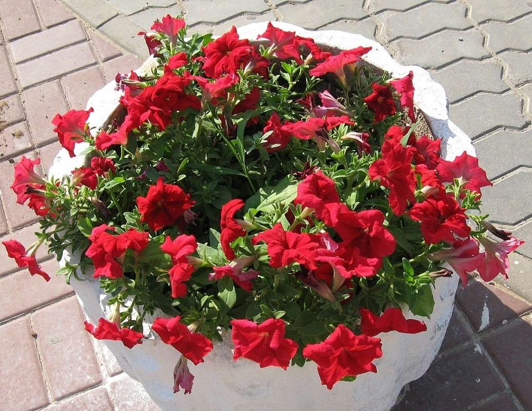 ... ����� Natali  ��������� �� PhotoGeek.ru #����� ��������������