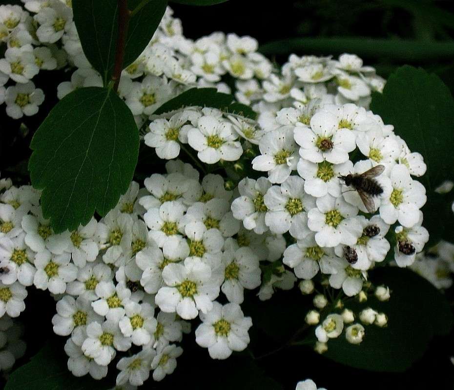 ... ����� Natali  ��������� �� PhotoGeek.ru #������ ��� ������� #����� ��������������