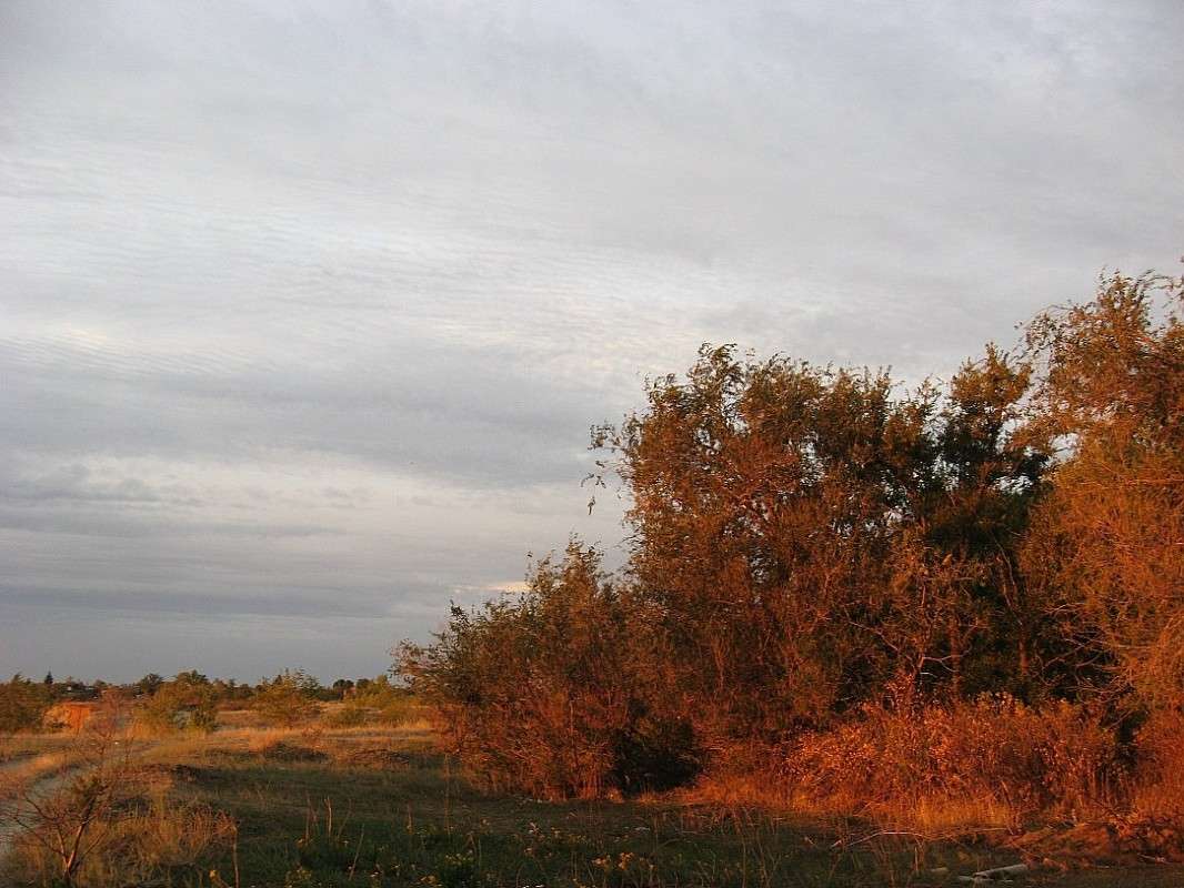 ����. ��� ������� ����� ����� ����� Natali  ��������� �� PhotoGeek.ru #������ ��� ������� #����� ��������������