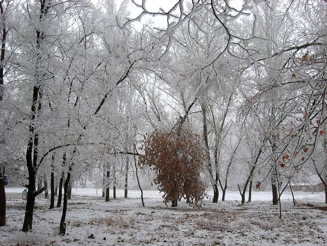 ���� � �����...2 ����� Natali  ��������� �� PhotoGeek.ru #������ ��� ������� #����� ��������������