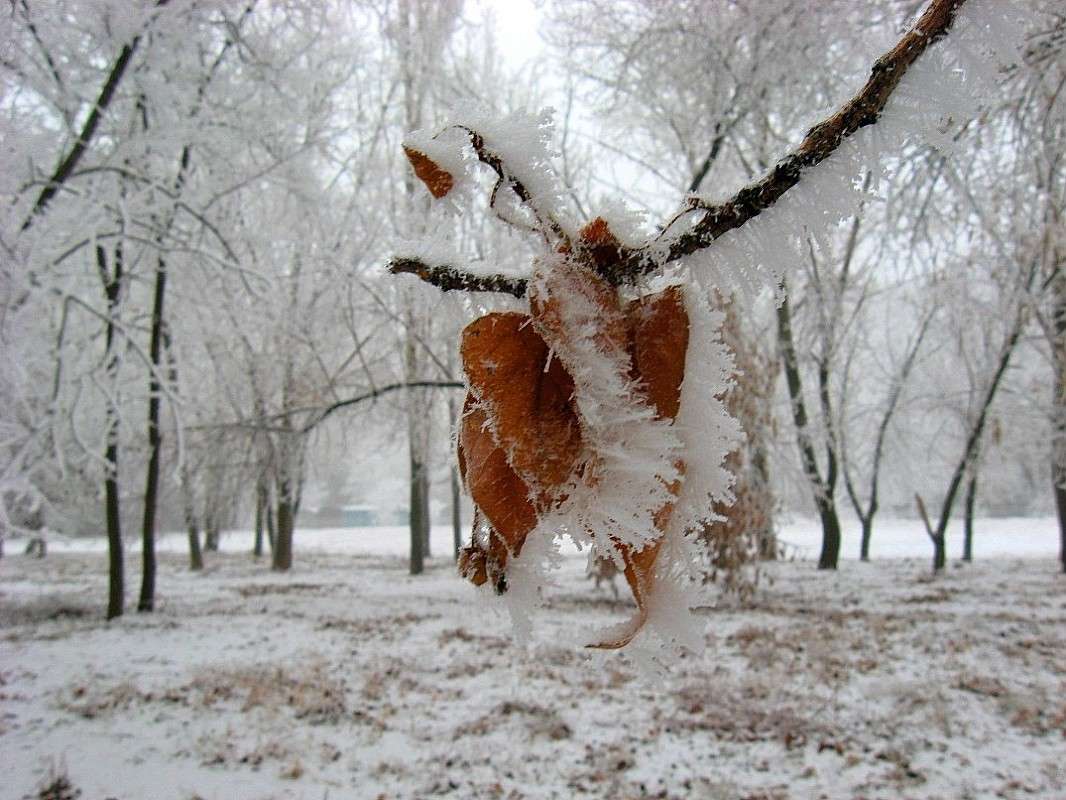 ���� � ����� ����� Natali  ��������� �� PhotoGeek.ru #������ ��� ������� #����� ��������������