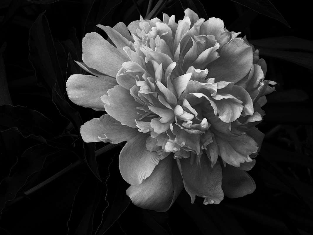 ... ����� Natali  ��������� �� PhotoGeek.ru #����� ��������������