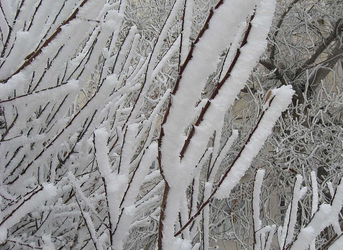 ���� ����� Natali  ��������� �� PhotoGeek.ru #������ ��� �������