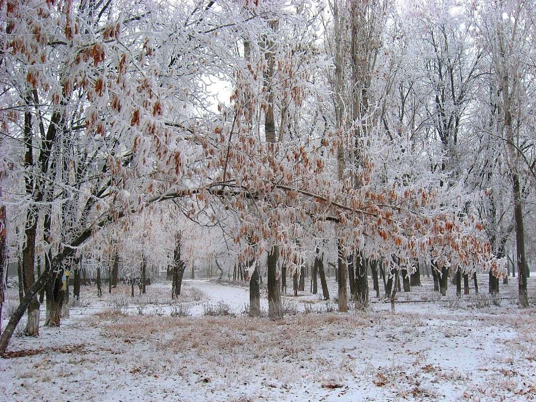 ... ����� Natali  ��������� �� PhotoGeek.ru #������ ��� ������� #����� ��������������