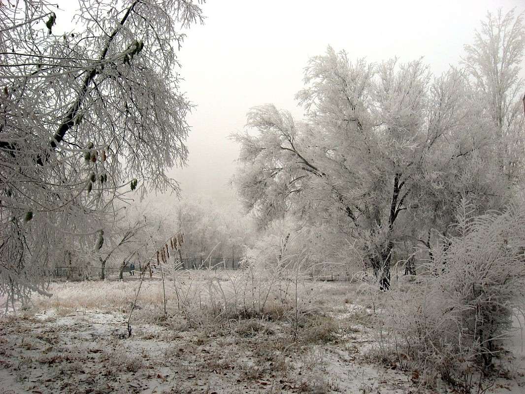 ... ����� Natali  ��������� �� PhotoGeek.ru #������ ��� ������� #����� ��������������