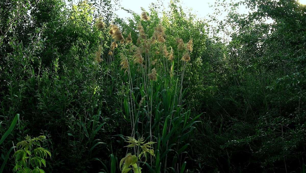 � ����. �������. ����� Natali  ��������� �� PhotoGeek.ru #������ ��� ������� #����� ��������