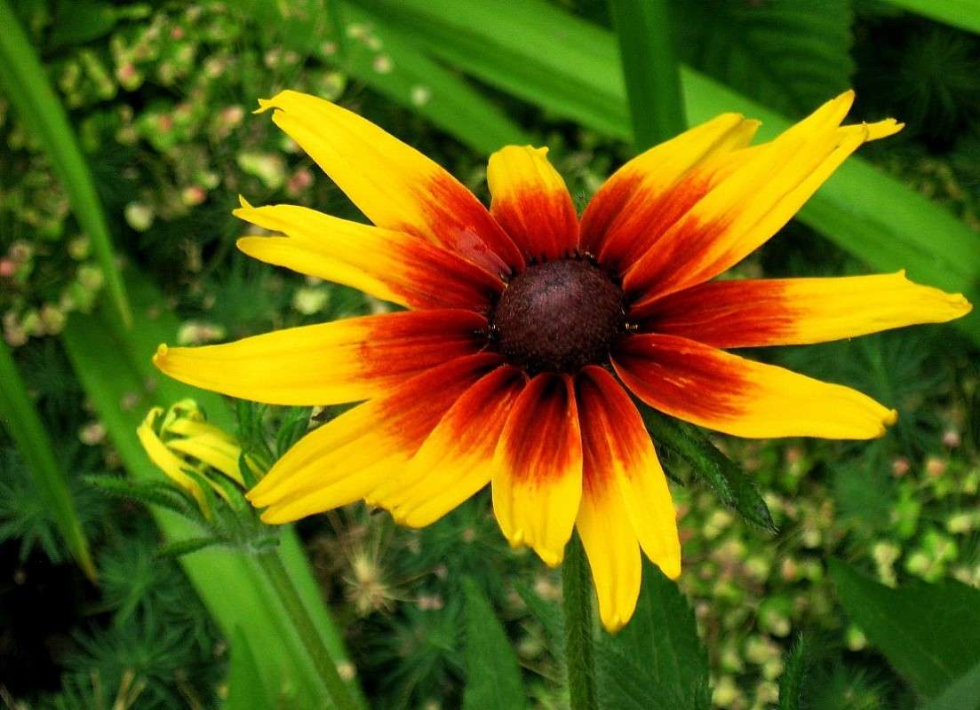 �������...))) ����� Natali  ��������� �� PhotoGeek.ru #������ ��� ������� #����� ��������������