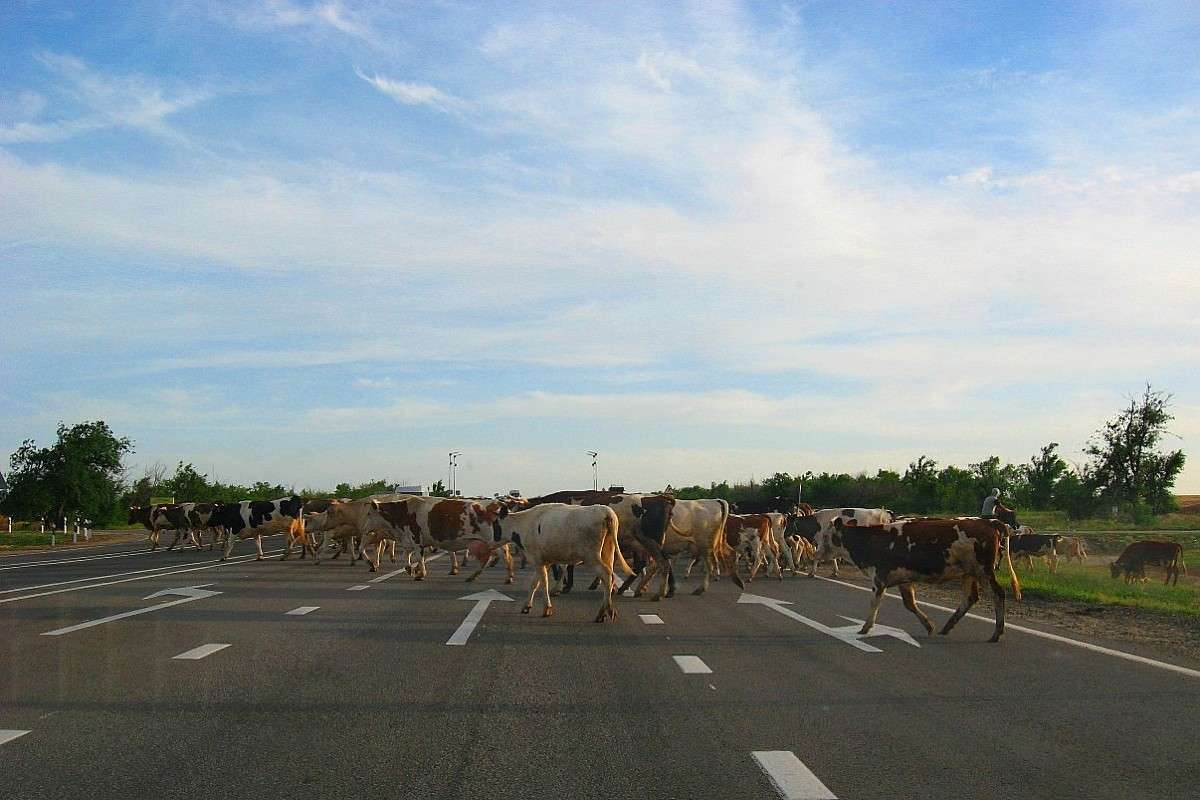 �� ������ �� � �������....) ����� Natali  ��������� �� PhotoGeek.ru #�������� ��� #������ ��� ������� #�������� ���������� #�������� #���������������