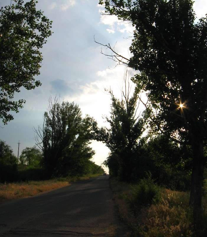 ��������  ���� ����� Natali  ��������� �� PhotoGeek.ru #������ ��� ������� #����� ��������