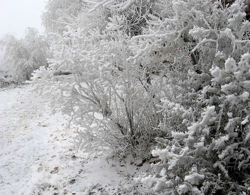 ... ����� Natali  ��������� �� PhotoGeek.ru #������ ��� ������� #����� ��������������