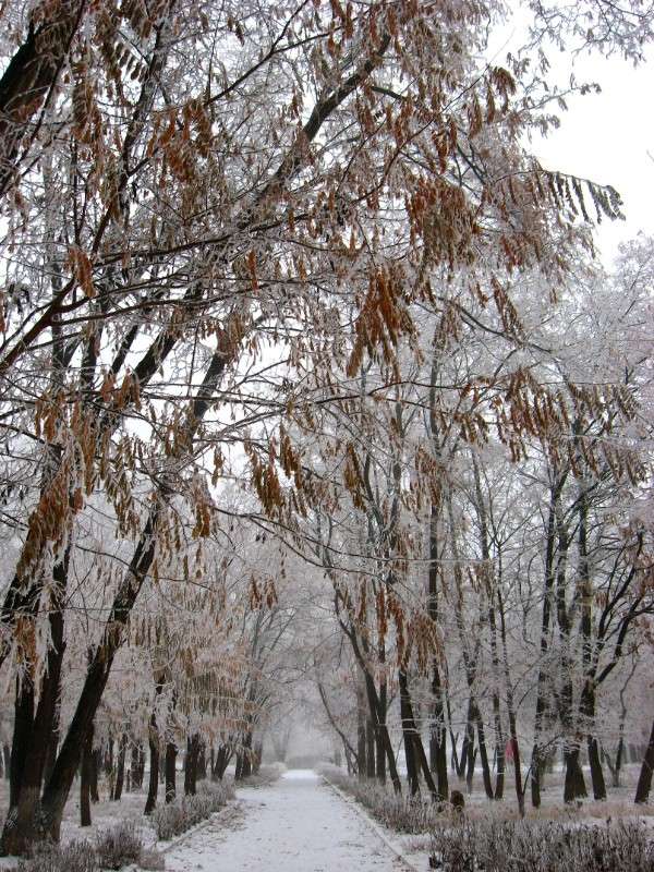 ... ����� Natali  ��������� �� PhotoGeek.ru #������ ��� ������� #����� ��������������