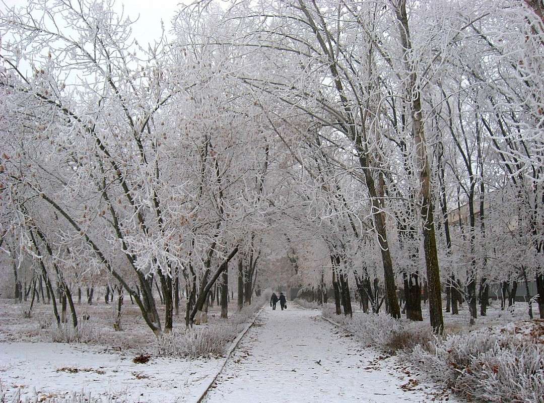 �� �����... ����� Natali  ��������� �� PhotoGeek.ru #������ ��� ������� #�������� ����������