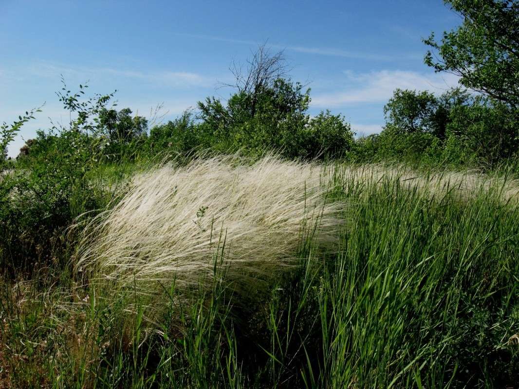 ������...  ) ����� Natali  ��������� �� PhotoGeek.ru #������ ��� ������� #����� ��������������