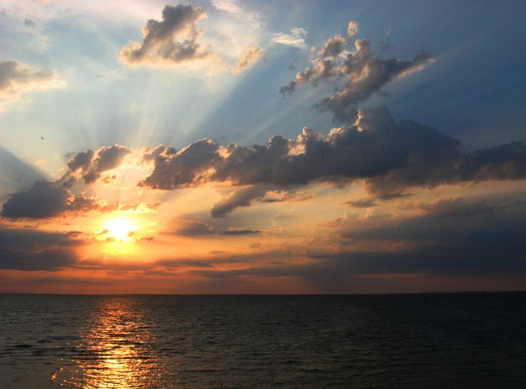 ... ����� Natali  ��������� �� PhotoGeek.ru #������ ��� �������