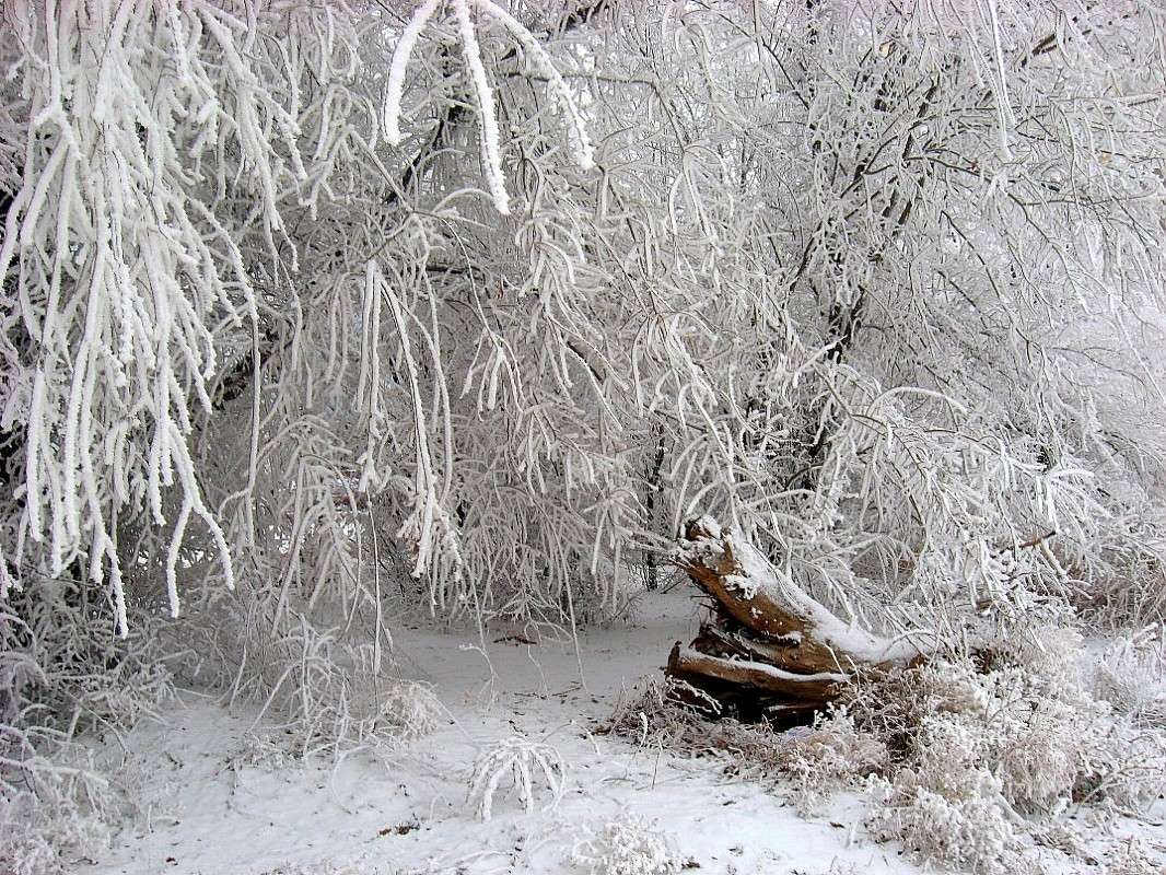 �� ������ ������ ����� Natali  ��������� �� PhotoGeek.ru #������ ��� �������