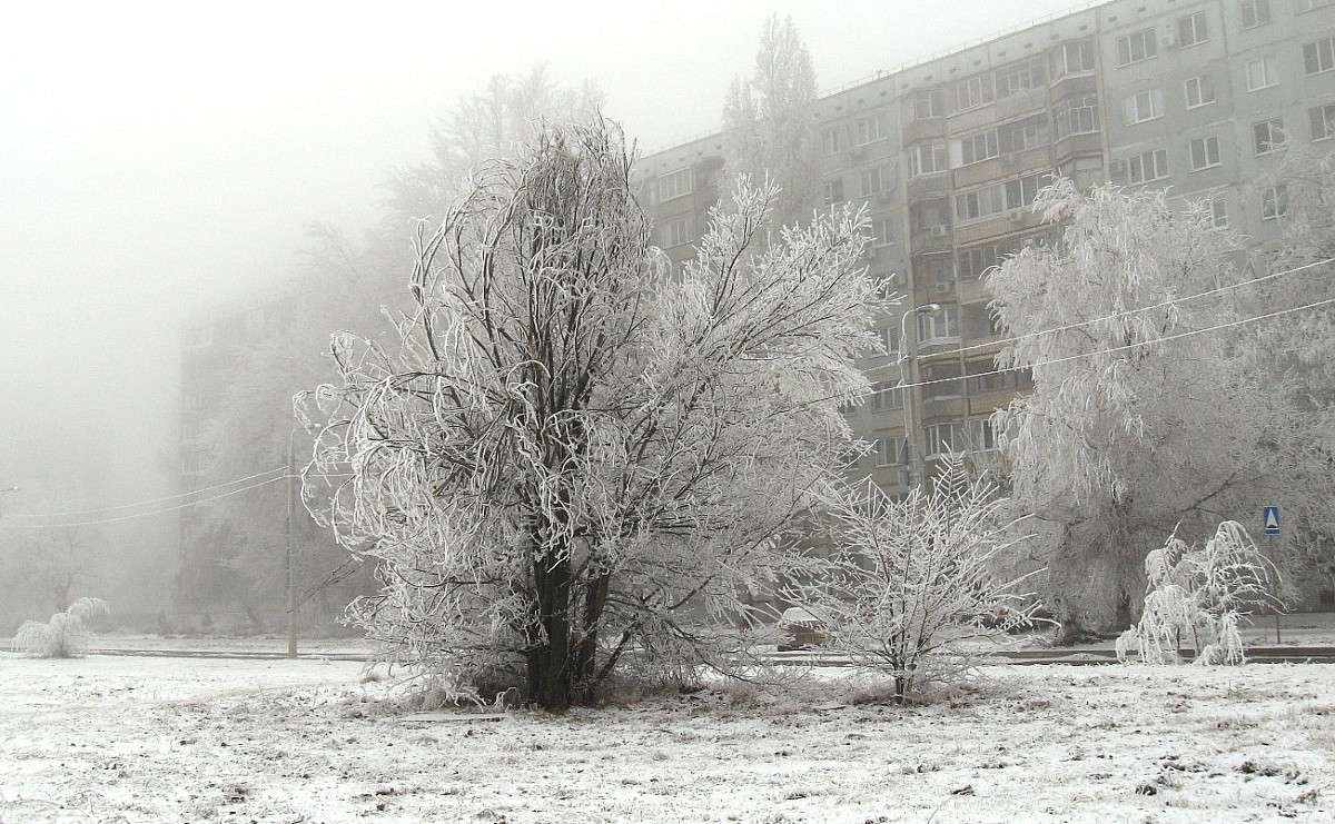 �� ������ ������...2 ����� Natali  ��������� �� PhotoGeek.ru #������ ��� �������