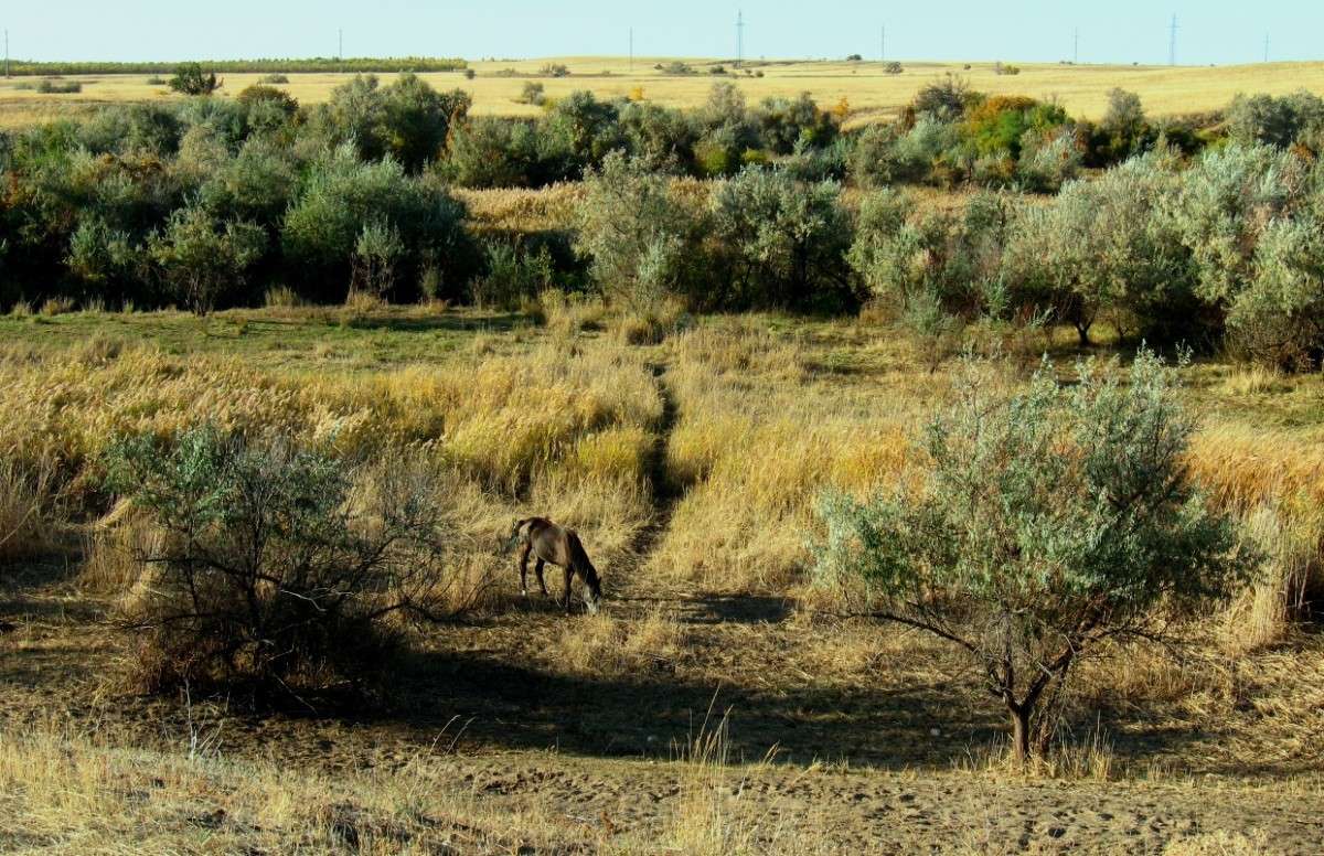 � ���� ����� Natali  ��������� �� PhotoGeek.ru #������ ��� �������