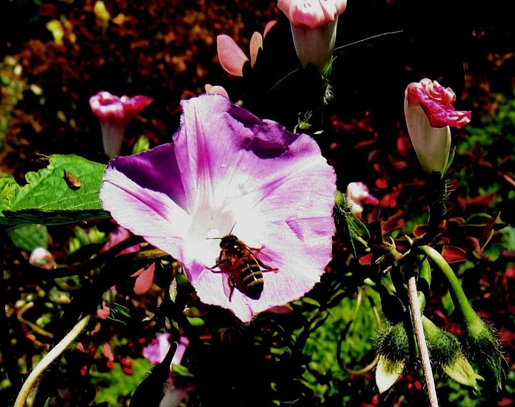 ... ����� Natali  ��������� �� PhotoGeek.ru #������ ��� ������� #����� ��������������