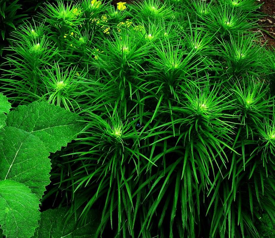 ����� �������� ! ����� Natali  ��������� �� PhotoGeek.ru #������ ��� ������� #����� ��������������