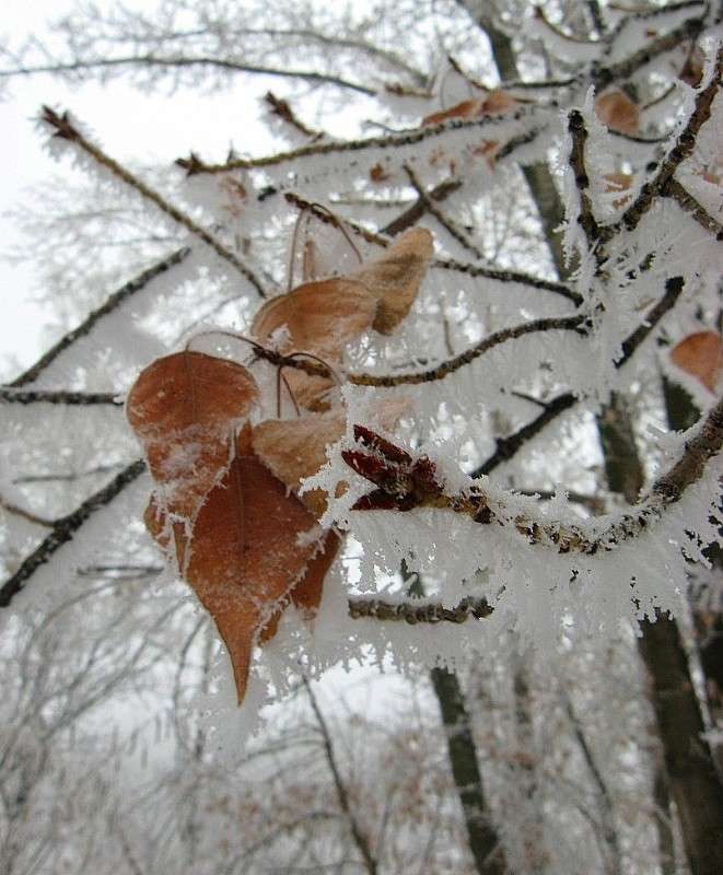 � ��� ��������...) ����� Natali  ��������� �� PhotoGeek.ru #������ ��� ������� #����� ��������������