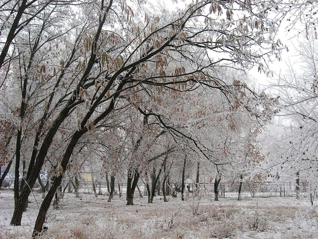 �� ���� ��...? ����� Natali  ��������� �� PhotoGeek.ru #������ ��� ������� #����� ��������������