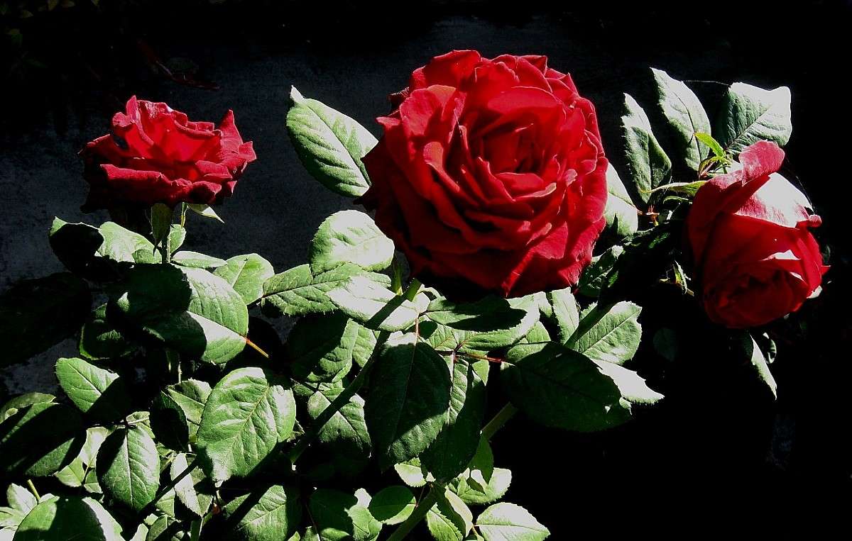 �� ������ �������� ����� Natali  ��������� �� PhotoGeek.ru #������ ��� ������� #����� ��������������