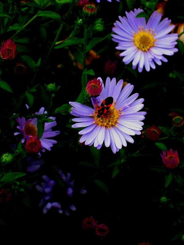 �������� ���� ����� Natali  ��������� �� PhotoGeek.ru #������ ��� ������� #����� ��������������