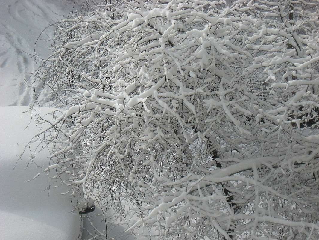 ������� ����� ����� Natali  ��������� �� PhotoGeek.ru #������ ��� ������� #����� ��������������