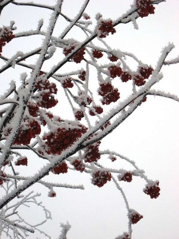 ... ����� Natali  ��������� �� PhotoGeek.ru #������ ��� ������� #����� ��������������