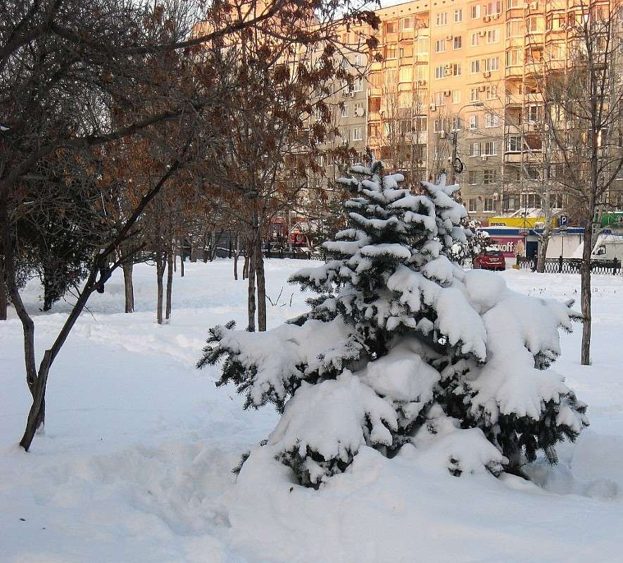 ����� � ������ ����� Natali  ��������� �� PhotoGeek.ru #����� #������ ��� ������� #����� ��������������