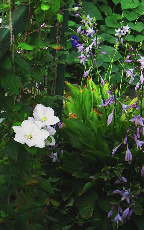 ... ����� Natali  ��������� �� PhotoGeek.ru #����� ��������������