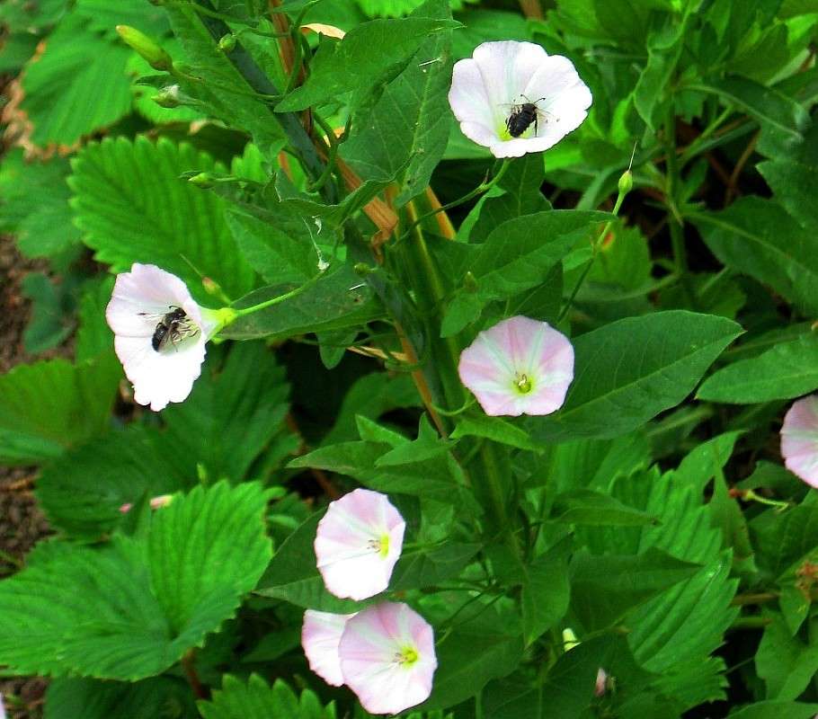 � ��������� ������ ����� Natali  ��������� �� PhotoGeek.ru #������ ��� ������� #����� ��������������