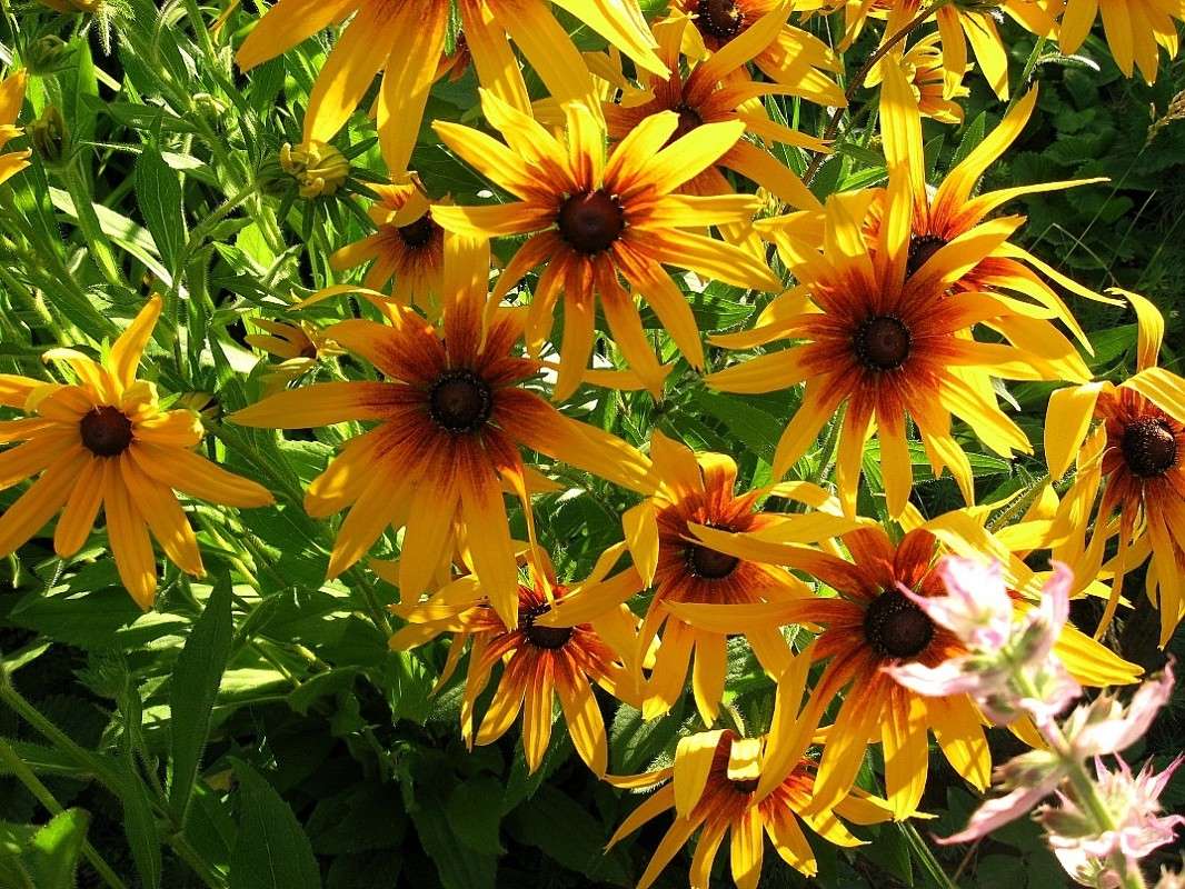 � ������ ��������� ����� Natali  ��������� �� PhotoGeek.ru #������ ��� ������� #����� ��������������