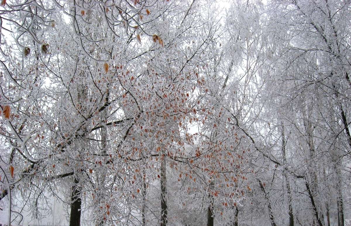 ����... ) ����� Natali  ��������� �� PhotoGeek.ru #������ ��� ������� #����� ��������������