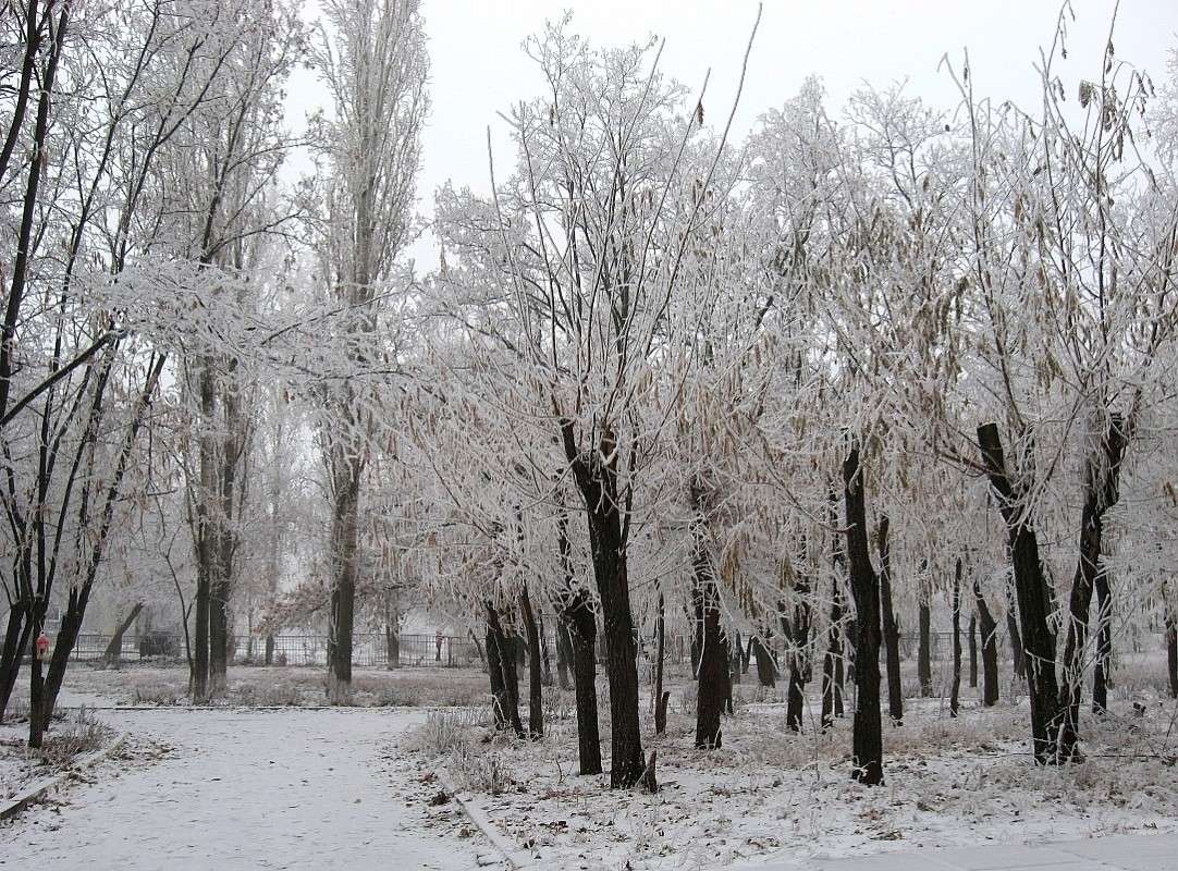 ������ � ����� ����� Natali  ��������� �� PhotoGeek.ru #������ ��� ������� #����� ��������������